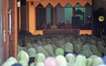 Malang Inside Jami' Mosque