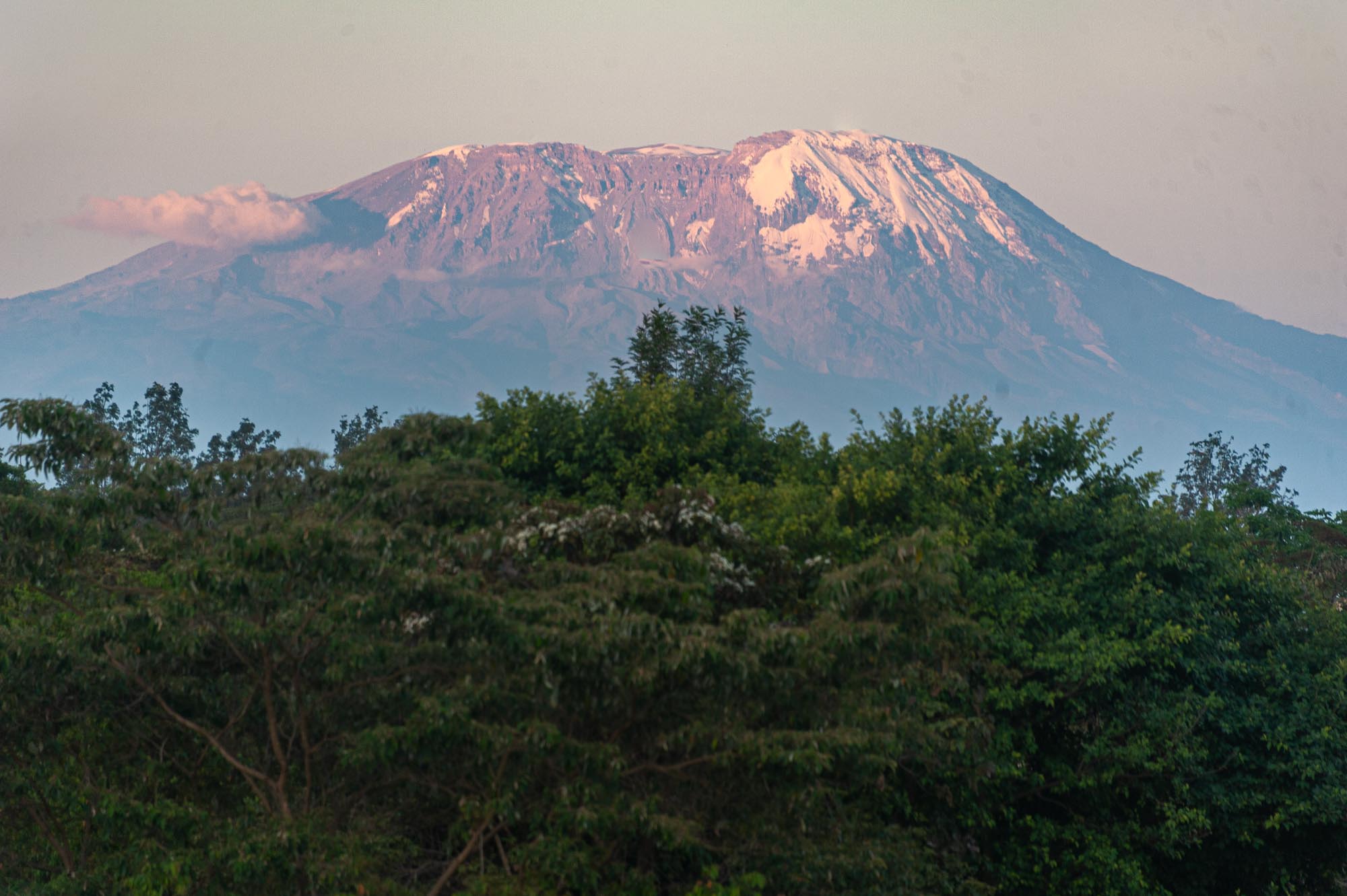 Kilimanjaro at sunset