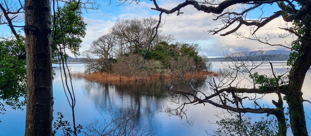 Fairy Island, Slishwood