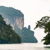 Teluk Dayang Bunting