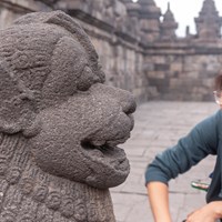 Borodudur Lion with Joy